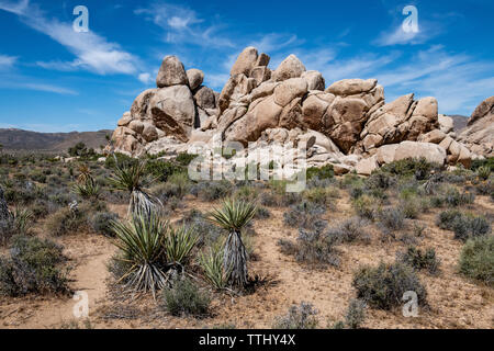 Halle der Schrecken Felsformation in Joshua Tree National Park, Kalifornien, USA Stockfoto