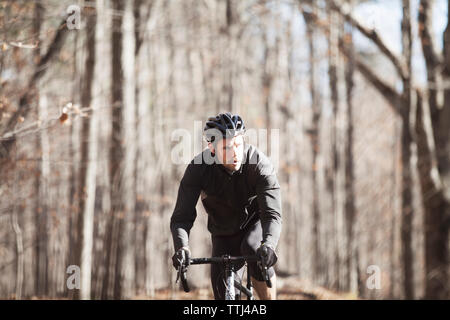 Männliche Athleten Reiten Fahrrad auf der Straße im Wald Stockfoto