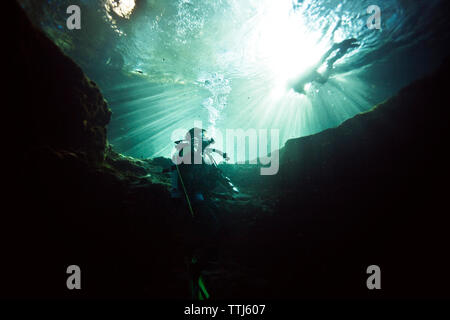 Low Angle View der Taucher im Meer Stockfoto