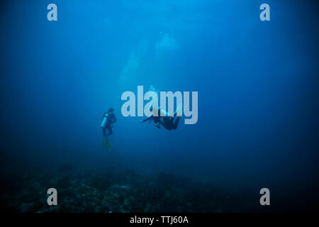 Taucher im Meer Stockfoto