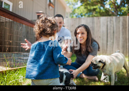 Glückliche Familie mit Hunden genießen im Hinterhof Stockfoto