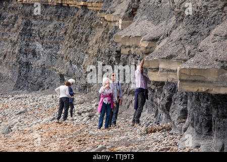 Touristen zu Fuß instabil Klippen bei Kimmeridge Bay Dorset, England, Großbritannien Stockfoto