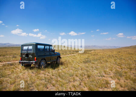 Auto auf Wiese vor blauem Himmel Stockfoto