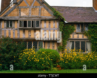 Detailansicht auf der Suche N am West End Farm Mittelalterlichen (1425) hall house, Pembridge, Herefordshire, UK, auf den Schwarzen und Weißen Dorf Trail. Stockfoto