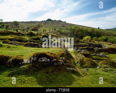 Anzeigen WNW über vier C 13 Dartmoor Langhäuser der Granitfelsen an Hound Tor Verlassenen mittelalterlichen Dorf, Devon, Großbritannien gebaut. Eine Siedlung von vier Farmen. Stockfoto