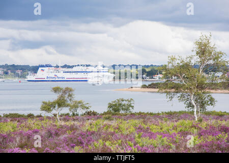 Die Heide von Studland Bay in Richtung Pool Hafen suchen, und ein Bretagne Fähre, für Frankreich, Poole, Dorset, England, Großbritannien Stockfoto