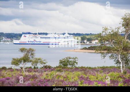 Die Heide von Studland Bay in Richtung Pool Hafen suchen, und ein Bretagne Fähre, für Frankreich, Poole, Dorset, England, Großbritannien Stockfoto