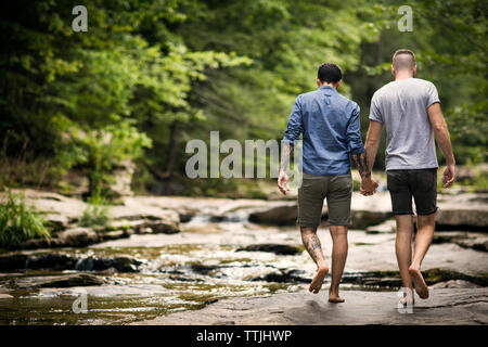 Ansicht der Rückseite des homosexuellen Paar Hände halten beim Laufen im Wald Stockfoto