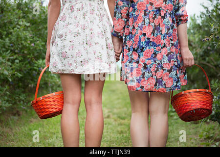 Mittelteil der Freunde mit Körben halten sich an den Händen beim Stehen in der Farm Stockfoto