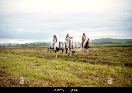 Weibliche Freunde Reiten auf Pferden gegen Sky Stockfoto
