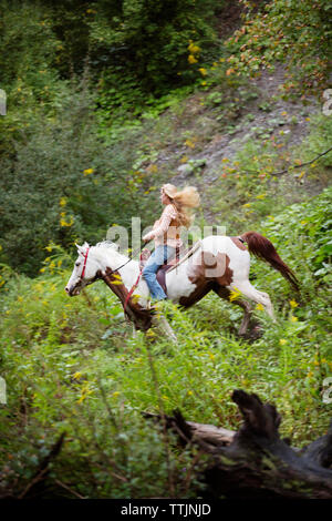 Seitenansicht der Frau reiten auf Pferd Stockfoto