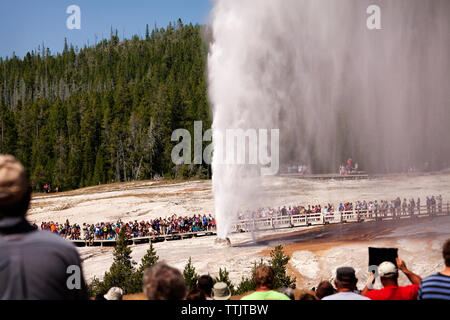 Touristen, die in der Old Faithful Geysir im Yellowstone National Park Stockfoto