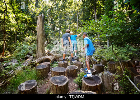 Boys auf Baumstümpfen im Wald Stockfoto