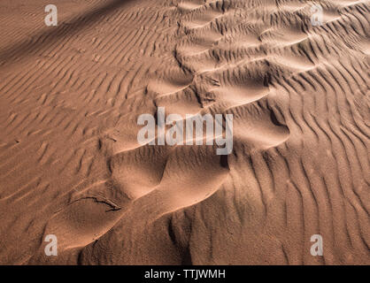 Spuren im Sand dune Stockfoto