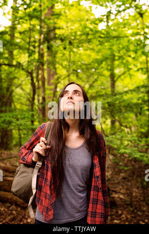 Frau mit Rucksack suchen, während im Wald Stockfoto