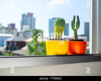 Schöne runde konkrete Pflanzmaschinen mit Kaktus Anlage auf dem Fenster auf stadtbild Hintergrund. Bunt bemalten konkrete Töpfe für die Dekoration. Stockfoto