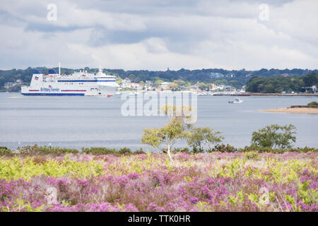 Die Heide von Studland Bay in Richtung Pool Hafen suchen, und ein Bretagne Fähre, für Frankreich, Poole, Dorset, England, Großbritannien Stockfoto