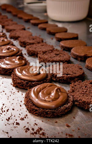 Schokolade Schwamm Kuchen auf den Küchentisch im Werk Stockfoto