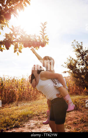 Mädchen huckepack Schwester für das Erreichen der Äpfel auf den Bäumen im Orchard Stockfoto