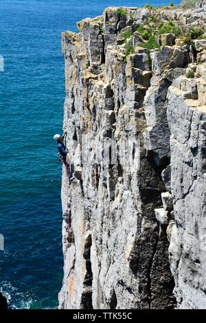 Kletterer klettern Fels in der Nähe von Stack Rocks Castlemartin Bosherston Nationalpark Pembrokeshire Coast Wales Cymru GROSSBRITANNIEN Stockfoto