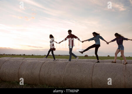 Freunde halten sich an den Händen beim Gehen auf Strohballen bei Sonnenuntergang Stockfoto