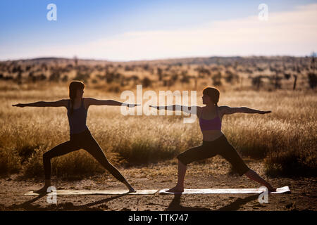 Weibliche Freunde Üben Yoga in Worrier Pose auf dem Feld Stockfoto