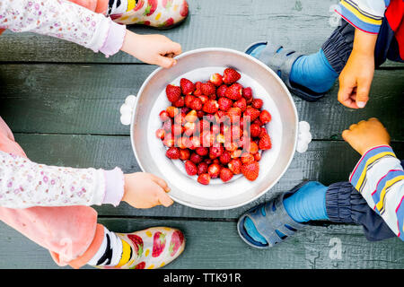 Untere Partie der Geschwister mit frisch geernteten Erdbeeren im Container auf Diele Stockfoto