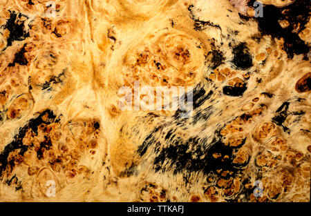 Natur burl Wood texture Stockfoto