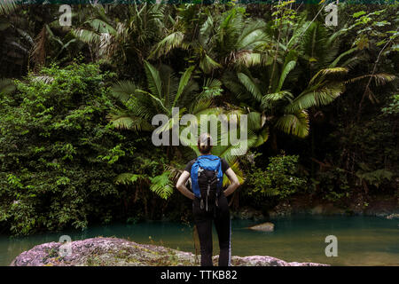 Ansicht der Rückseite Frau mit Rucksack am Seeufer in El Yunque National Forest Stockfoto