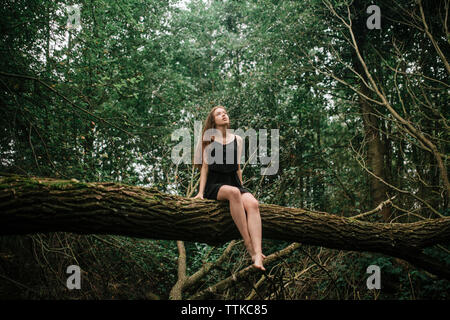 Das Mädchen im Wald sitzt auf einem gefallenen Baum baumelnden Beinen Stockfoto