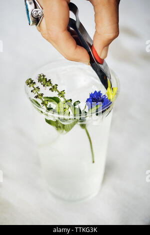 Zugeschnittenes Bild der Person Kommissionierung Blume aus Glas mit Zange Stockfoto