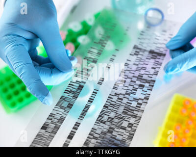 7/8 Hände der Wissenschaftler DNA-Gel während der Arbeit im Labor Stockfoto