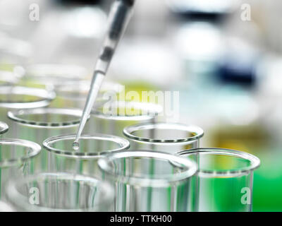 Probe pipettiert in Reagenzglas für Analyse im Labor, Stockfoto