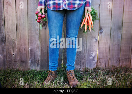 Niedrige Abschnitt der weiblichen Bauer Holding Gemüse beim Stehen gegen Zaun an Organic Farm Stockfoto