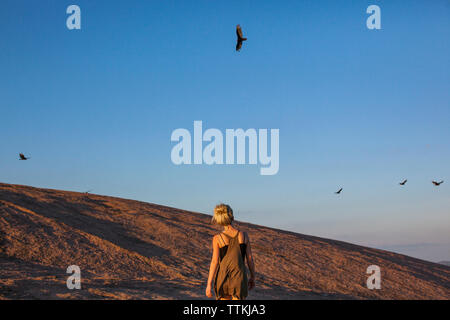 Ansicht der Rückseite Frau beobachten Vögel gegen den klaren blauen Himmel fliegen Stockfoto