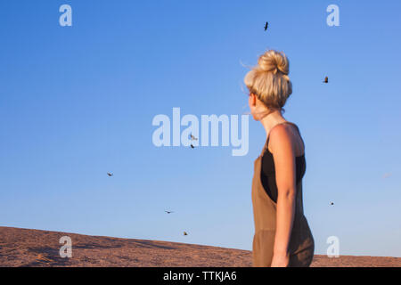 Seitenansicht der Frau beobachten Vögel gegen den klaren blauen Himmel fliegen Stockfoto