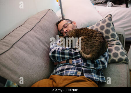 Man schläft auf der Couch mit tabby Katze schläft auf seiner Brust Stockfoto