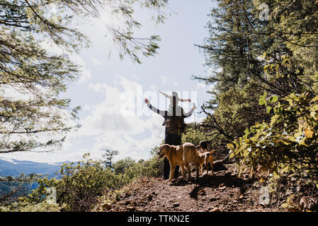 Männliche Wanderer, die Tochter im Stehen durch Hunde auf dem Berg gegen Sky Stockfoto