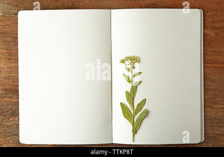 Schöne getrocknete Blüten im Notebook auf hölzernen Hintergrund Stockfoto