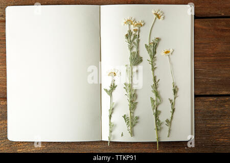 Schöne getrocknete Blüten im Notebook auf hölzernen Hintergrund Stockfoto