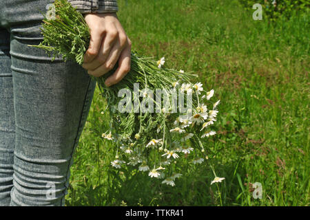 Frau mit Blumenstrauß von Daisy Blumen, in der Nähe Stockfoto