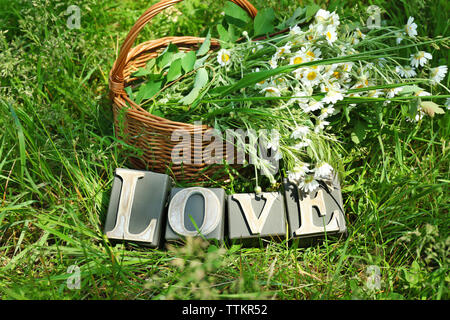 Wort Liebe aus Holz Buchstaben in den Korb mit Blumenstrauß aus Daisy Flowers Stockfoto