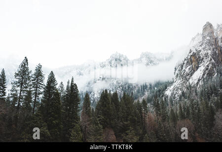 Schnee und niedrige Wolken im Yosemite Valley Stockfoto