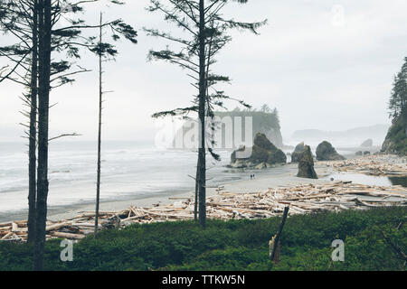 Malerischer Blick auf Ruby Beach gegen den klaren Himmel während der nebligen Wetter Stockfoto