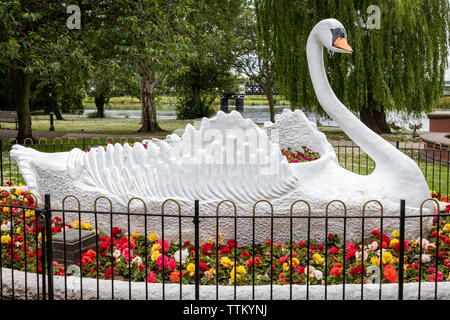 Die kultigen 50er Jahre Zierpflanzen Giant White Swan Statue an stapenhill Gärten am Ufer des Flusses Trent in Burton Upon Trent. Staffordshire. England.DE Stockfoto