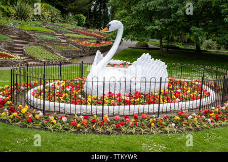 Die kultigen 50er Jahre Zierpflanzen Giant White Swan Statue an stapenhill Gärten am Ufer des Flusses Trent in Burton Upon Trent. Staffordshire. England.DE Stockfoto