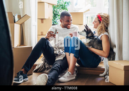Glückliches Paar spielen mit Hund beim Sitzen am Tor in neues Haus Stockfoto