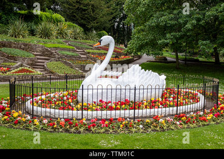 Die kultigen 50er Jahre Zierpflanzen Giant White Swan Statue an stapenhill Gärten am Ufer des Flusses Trent in Burton Upon Trent. Staffordshire. England.DE Stockfoto