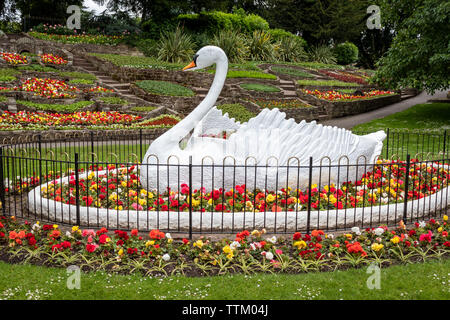 Die kultigen 50er Jahre Zierpflanzen Giant White Swan Statue an stapenhill Gärten am Ufer des Flusses Trent in Burton Upon Trent. Staffordshire. England.DE Stockfoto