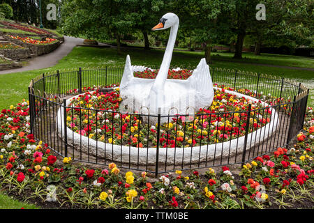 Die kultigen 50er Jahre Zierpflanzen Giant White Swan Statue an stapenhill Gärten am Ufer des Flusses Trent in Burton Upon Trent. Staffordshire. England.DE Stockfoto